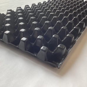 Дренажная водонакопительная мембрана СДРЕЙН СД 30