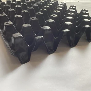 Дренажная водонакопительная  мембрана СДРЕЙН ФД 43